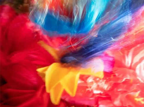 pixiv成年版 任何形体都是扁平失真的海报