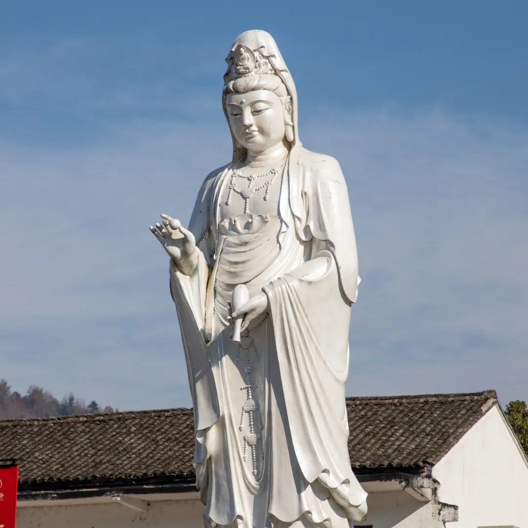 国产一级精品高清一级毛片 