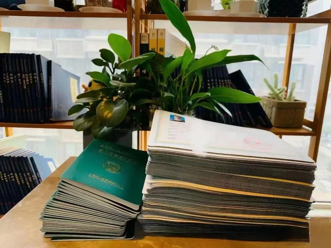 久久精品国产96精品亚洲海报