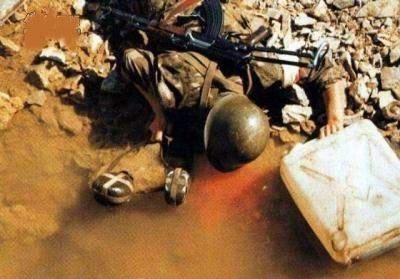 se333 项目代号或者某种标识符