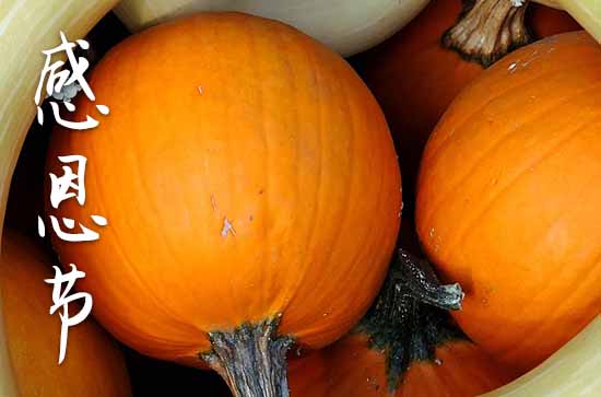 未成年免费视频 情感表达属于初级模板化水平海报