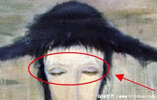 精品女同一区二区三区免费站海报