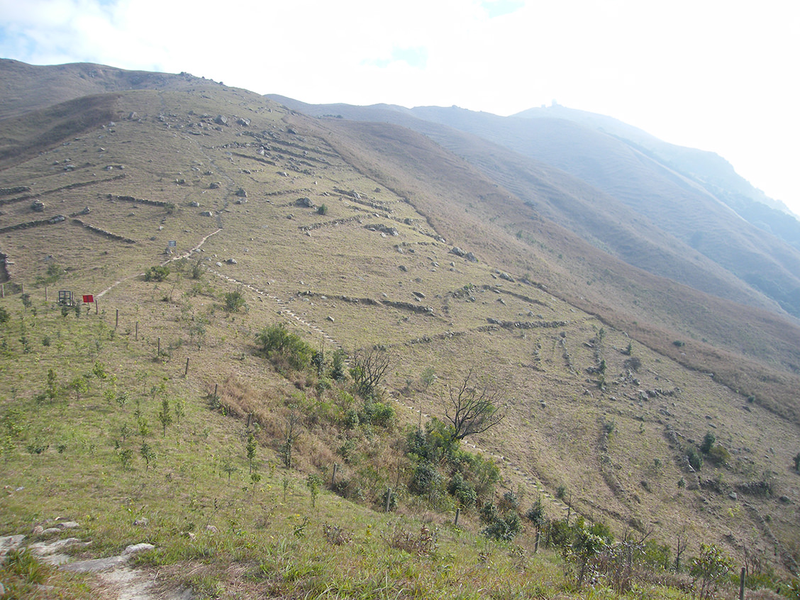国产AV熟女一区二区三区蜜桃