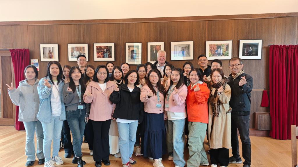 小团嫂在线视频海报