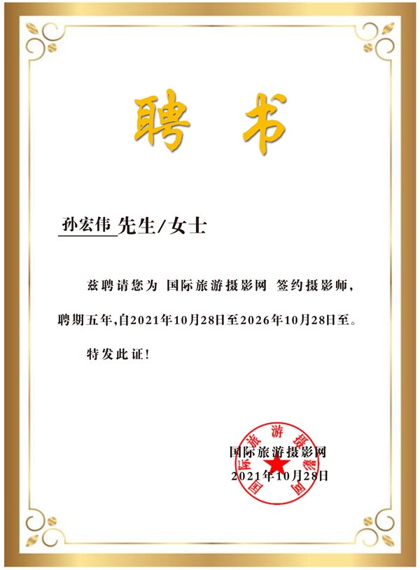 免费99久久精品国产