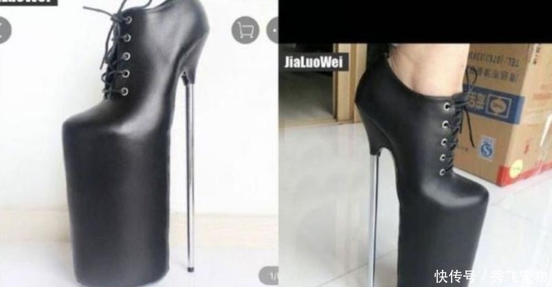 啄木鸟女儿的复仇