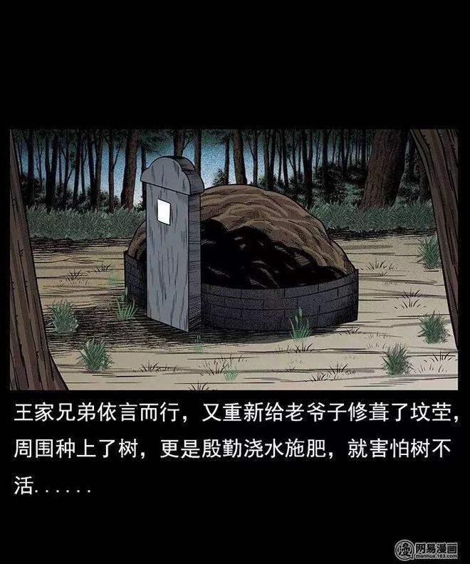 小欧视频 到滑稽的小欧视频宠物集锦