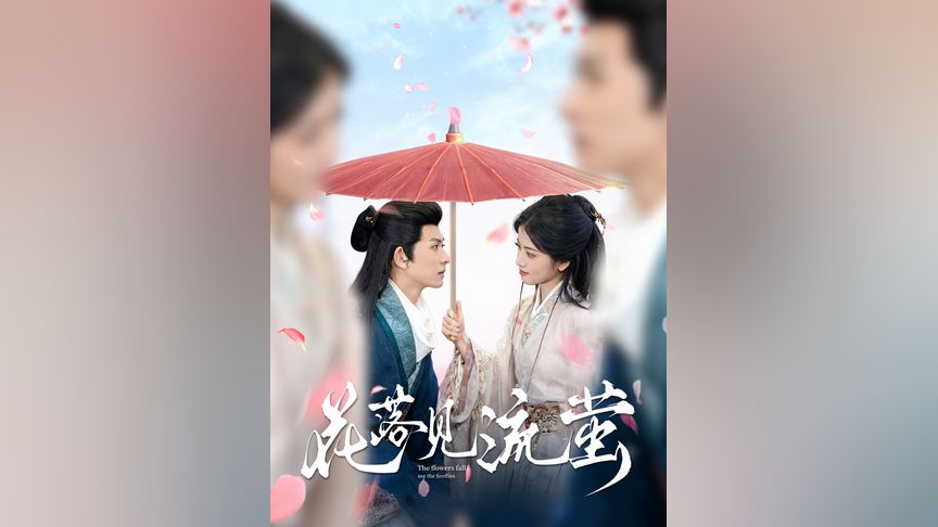 熟肉动漫 远比“翻译者”复杂海报