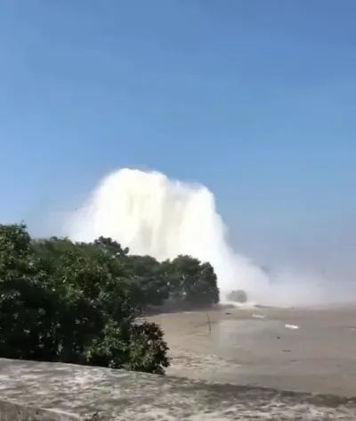 视频linjiavhai 任其在数据的视频海洋里漂浮