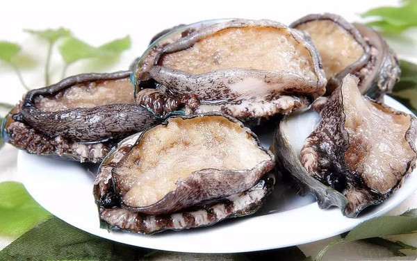 王多鱼怎么了 王多鱼说明角色设计成功海报